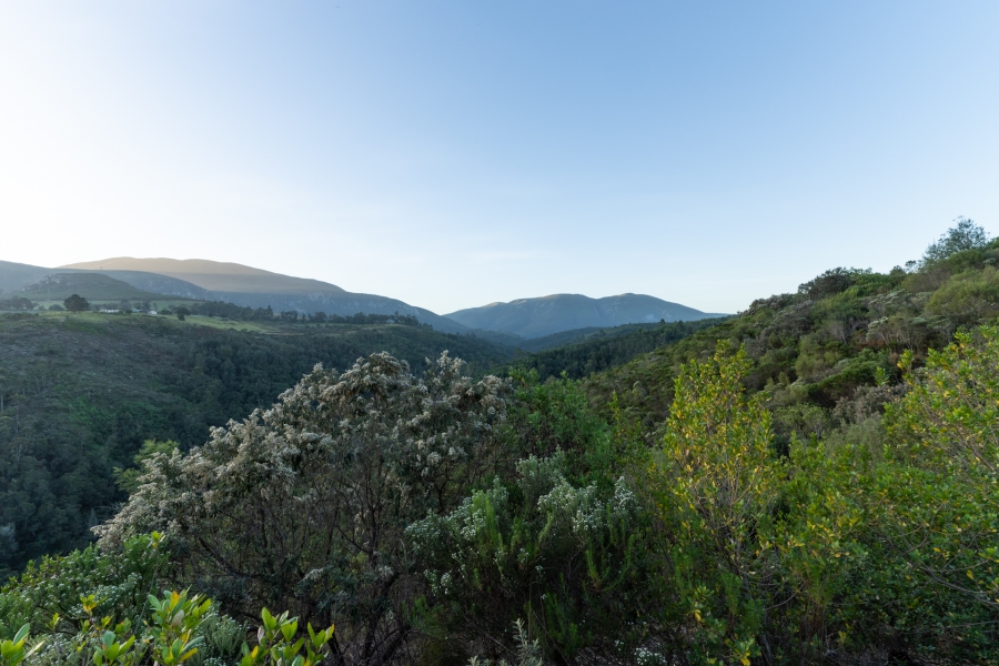 0 Bedroom Property for Sale in Hoekwil Western Cape